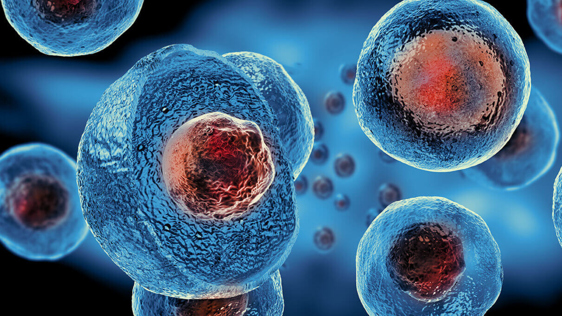 Stem Cell IV